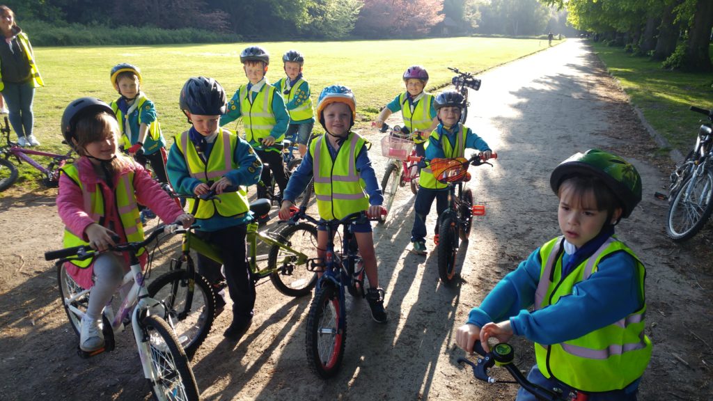 beavers cycling